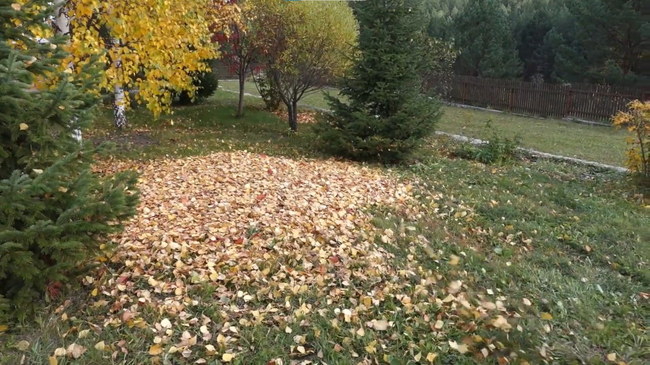 https://cherepovec.mslandshaft.ru/storage/app/uploads/public/642/ac5/f22/642ac5f2293e2935715739.jpg